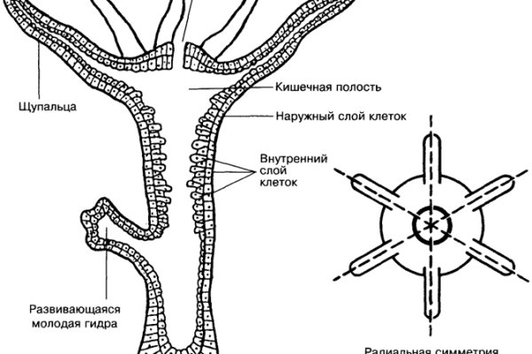 Кракен сайт kr2web in зеркало рабочее