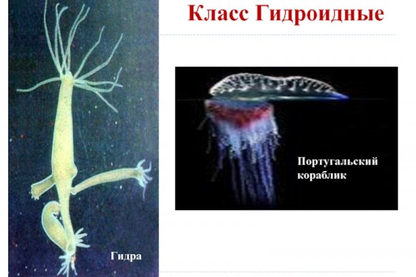 Кракен сайт вход официальный зеркало